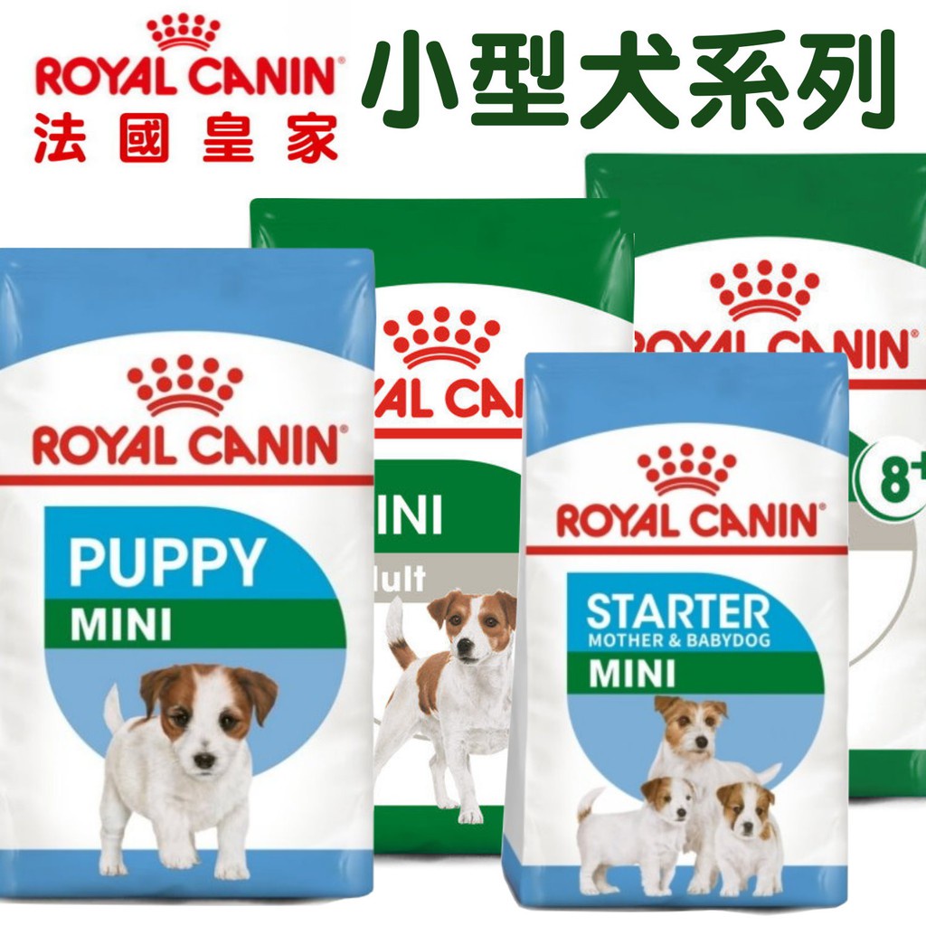 離乳犬- 優惠推薦- 2022年7月| 蝦皮購物台灣
