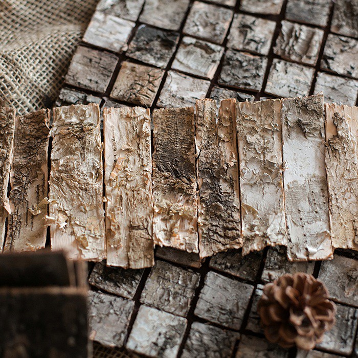 Taizhou04 掬涵天然白樺木皮樺樹皮馬賽克diy裝飾zakka森系拍攝道具 蝦皮購物