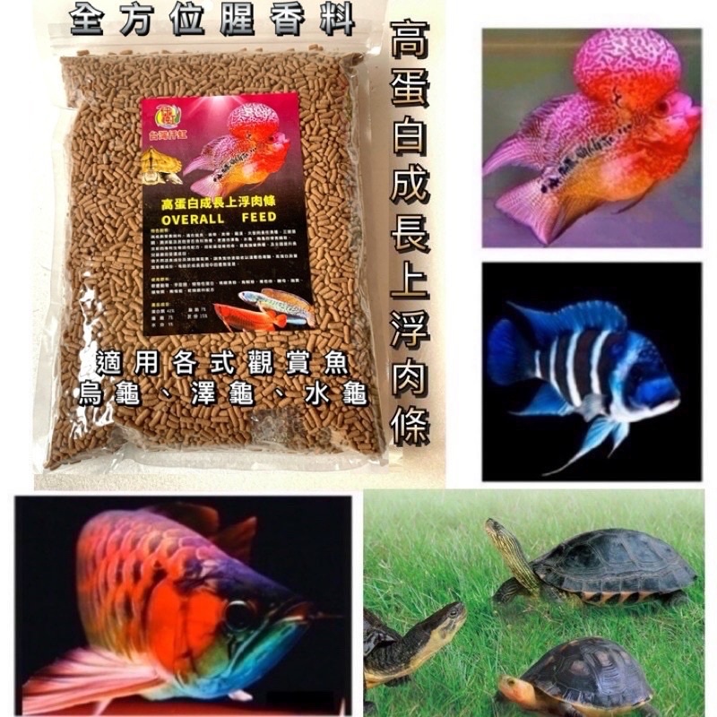 精緻上浮肉條 水族 兩棲可用 烏龜飼料 澤龜飼料 水龜 龍魚飼料 慈鯛 羅漢飼料 雷龍 肉食 神仙 七彩