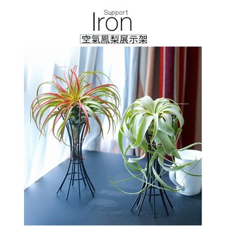 【臺灣 現貨 出貨】空氣鳳梨 植物 創意支架 花架 配飾 底座 花盆架 室內綠植盆栽花架 多重擺設藝術 霸王 大空鳳等