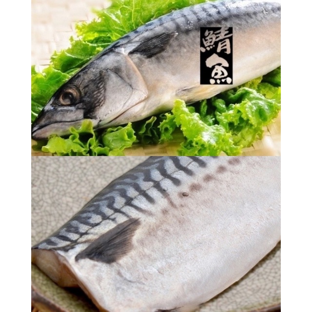 挪威薄鹽鯖魚片🐟超大XL(約210g)、2XL（約235g)🔥歡迎批發團購私訊