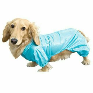 《現貨》全新 PPark 寵物雨衣 狗風衣 狗雨衣 臘腸狗雨衣 台灣製寵物雨衣 外出雨衣 收納式風雨衣 寵物風衣