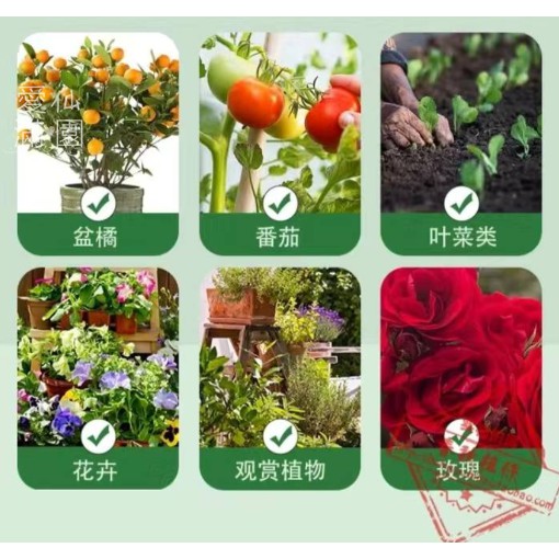 必綠必旺必開花速效肥料約100克花肥料開花肥 蝦皮購物