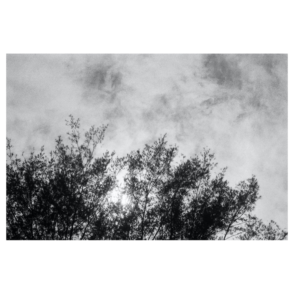 【超高CP值】Kentmere PAN400 黑白負片135 底片36張2024年 增感3200度
