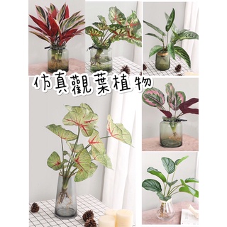 模擬 觀葉植物 假觀葉 假植物 IG 仿真植物 🔜臺灣 現貨 裝飾 佈置 假盆栽 景觀植物 田尾 花木馬 假花 葉子