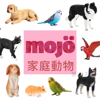 聚聚玩具【正版】Mojo Fun 動物星球-動物模型-家庭動物(貓/狗/鸚鵡)