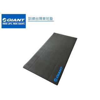 ★小葳精選★捷安特 自行車訓練臺專用 防水款地墊 附網收納