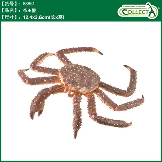 【W先生】CollectA 英國高擬真模型 帝王蟹 座頭鯨 藍鯨 龍蝦 安康魚 海洋動物模型 公仔