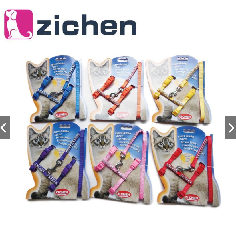 Zichen 貓人項圈皮帶