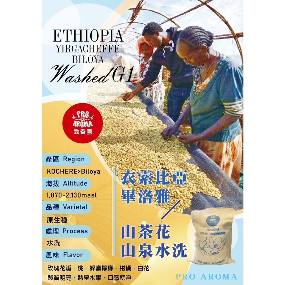 勁香團-(生豆)衣索比亞 畢洛雅  山茶花 山泉水洗