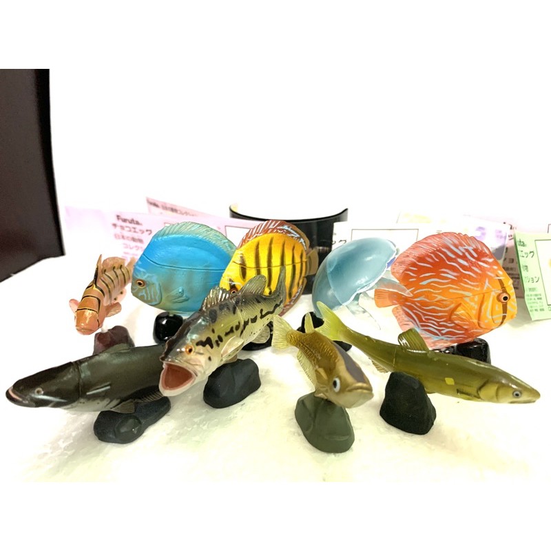 血鸚鵡金魚 Ptt Dcard討論與高評價網拍商品 21年10月 飛比價格