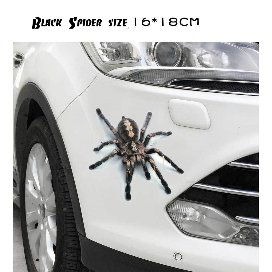 3d透明立體汽車貼紙劃痕遮擋貼蠍子蜘蛛後視鏡對貼蜥蜴 蝦皮購物