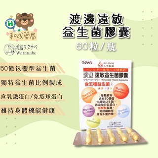 渡邊遠敏益生菌膠囊(60粒/盒裝)初乳蛋白/益生菌新增 藥局實體店面販售