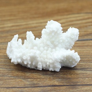 【微景小舖】立體樹脂白色珊瑚 地中海風 珊瑚 微景觀飾物材料 水族箱裝飾材料 微景觀擺件 多肉植物苔蘚生態瓶配件景觀盆栽