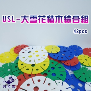 【阿拉雲市集】商檢合格-遊思樂-USL創意雪花積木綜合組42pcs 教師教學素材 兒童節 兒童玩具 彩色玩具