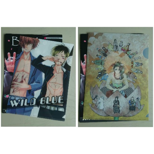 換 售 長鴻boys Love 資料夾滿額贈贋作 好色一代男wild Blue 狂野湛藍 蝦皮購物