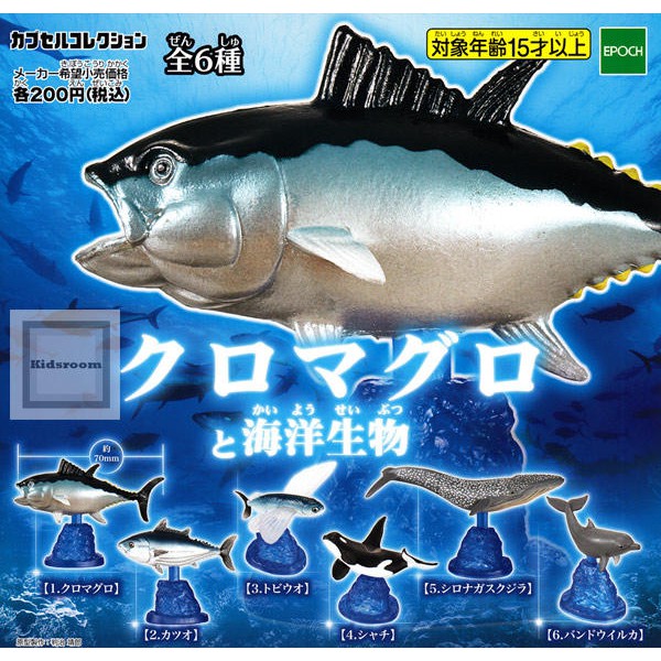 [日貨 EPOCH 轉蛋&amp;扭蛋] 黑鮪魚與海洋生物 殺人鯨 海豚 4款