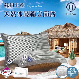 【Hilton希爾頓】蘇丹王室冰藤吸濕排汗獨立筒天絲枕/2色