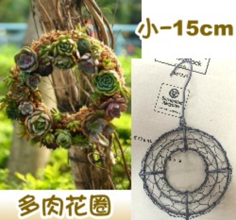 Rophlen 多肉療癒 多肉花圈課程 小 蝦皮購物