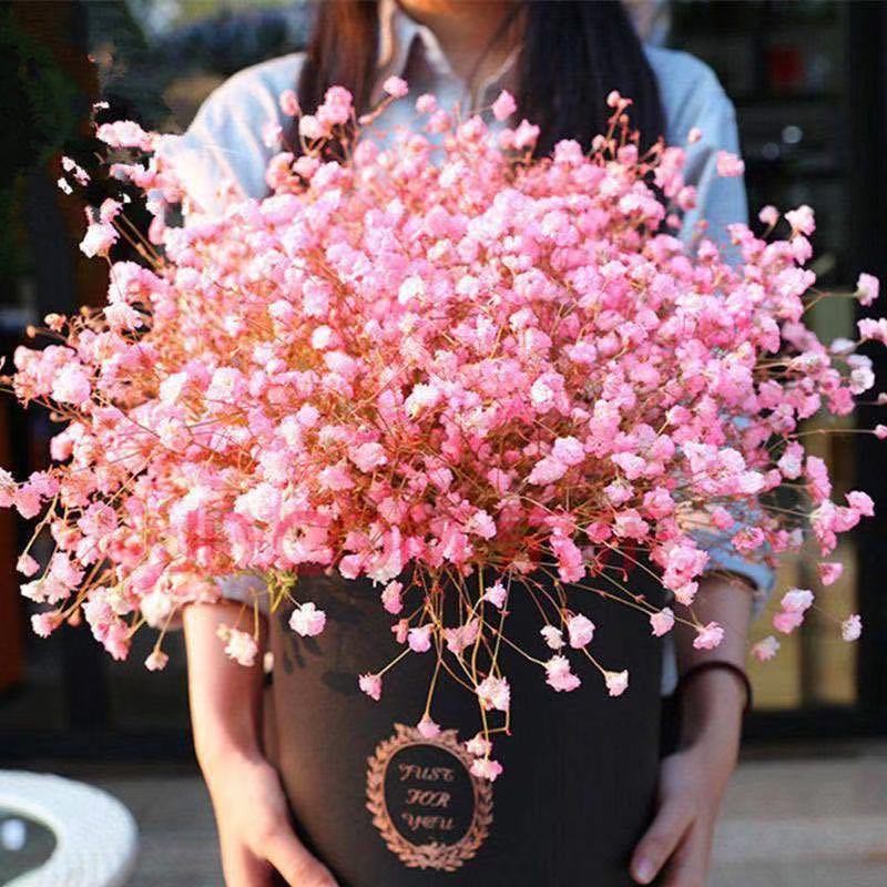 室外盆栽 優惠推薦 21年8月 蝦皮購物台灣