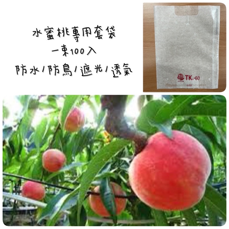 水蜜桃套袋(含鐵絲) 蠟袋 無花果可用 水果套袋 防蟲害 防水 防蟲 德果 台灣生產 一束100入 現貨供應中