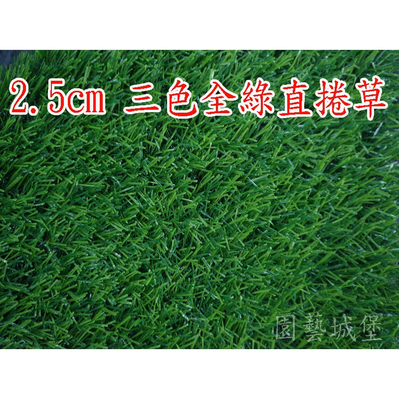【園藝城堡】人工草皮~草高2.5cm(寬100cm) 每單位長30cm “零售” 三色全綠直捲草 塑膠草皮 人造草皮