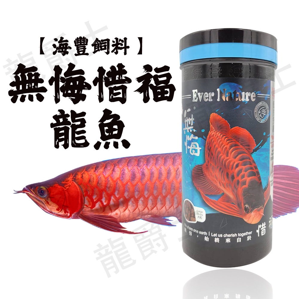 現貨 龍爵士水族 海豐飼料無悔x惜福龍魚 肉食性魚類健康增豔飼料大粒450g罐 合法授權 龍魚飼料 飼料 蝦皮購物