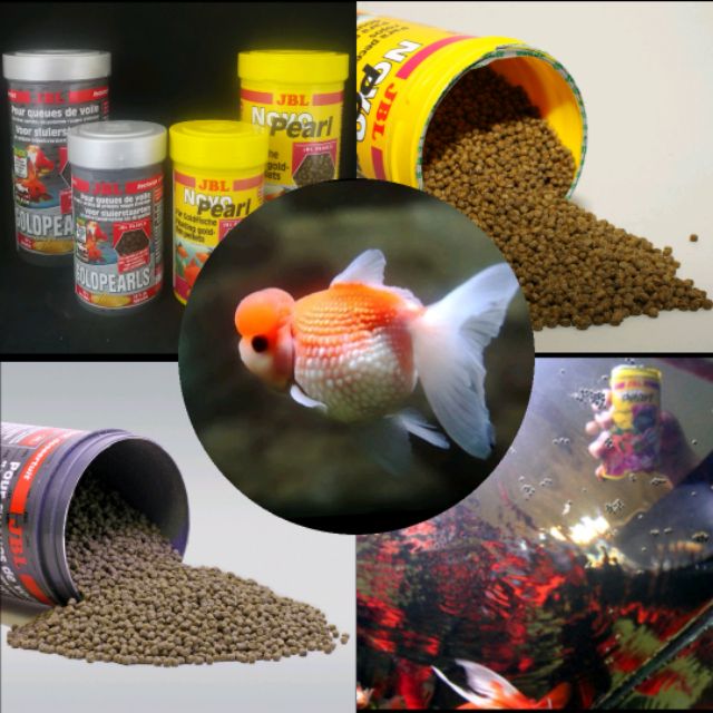 彩虹騎士 德國jbl珍寶金魚成長增艷上浮 緩沉顆粒飼料 100 1000ml 金魚飼料 金魚 血鸚鵡 增艷飼料 蘭壽 蝦皮購物