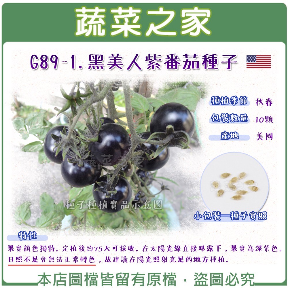 【蔬菜之家滿額免運】G89-1.黑美人紫番茄種子10顆 // 果實顏色獨特。定植後約75天可採收果菜類種子