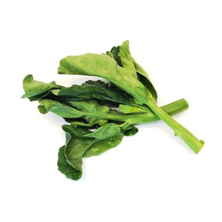 黑芥藍菜種子~~營養豐富，家庭園藝首選