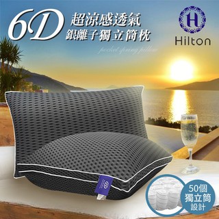【Hilton希爾頓】 6D酷涼透氣銀離子抑菌獨立筒枕/鐵灰(B0109-A)