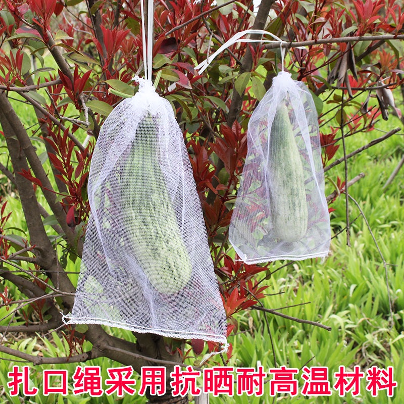 防蟲套 葡萄水果套袋 枇杷防蟲防鳥白色紗網袋 透氣透光防果蠅套