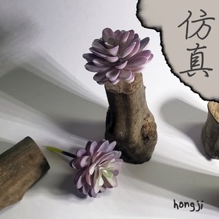 多肉 模擬多肉 微景觀 P63 假多肉植物 辦公室小物 療癒紓壓生日禮物拍照道具居家裝飾咖啡屋商店擺飾迷你木頭底座盆栽