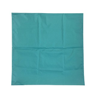 現貨 移位滑布 短版 長 52 公分 × 寬 52 公分 補助移位滑墊A款 免運 床面左右移位水平移位 中風、行動不便