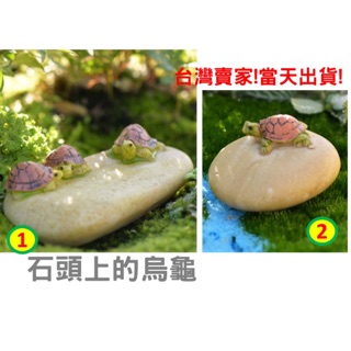 WINE臺灣惟恩 微景觀 烏龜 石頭上的烏龜 水族DIY 辦公室小物 盆栽佈置 多肉 龜 海龜 水族