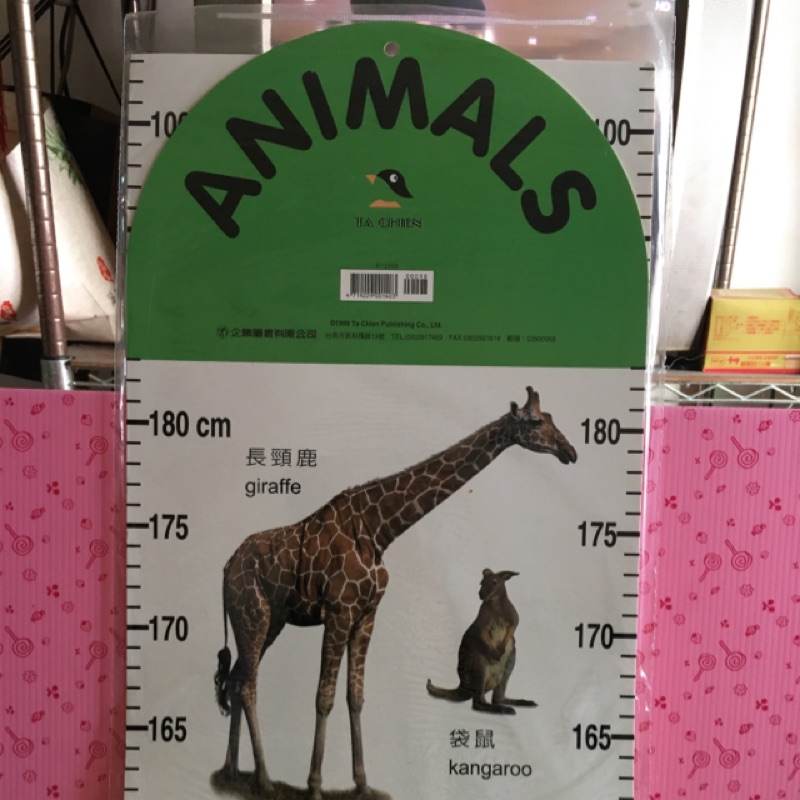 企鵝---ANIMALS 身高尺(0~180cm)~出清品~只賣15元