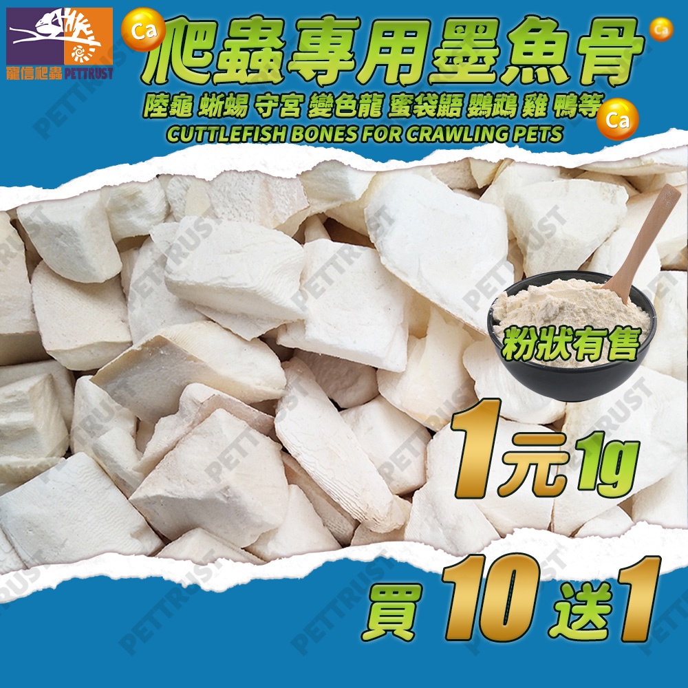 台灣現貨】墨魚骨 墨魚骨塊 墨魚骨鸚鵡 墨魚骨陸龜 澤龜 墨魚骨串 墨魚骨鳥玩具 補鈣 爬蟲補鈣 爬蟲鈣粉 爬蟲鈣粉d3