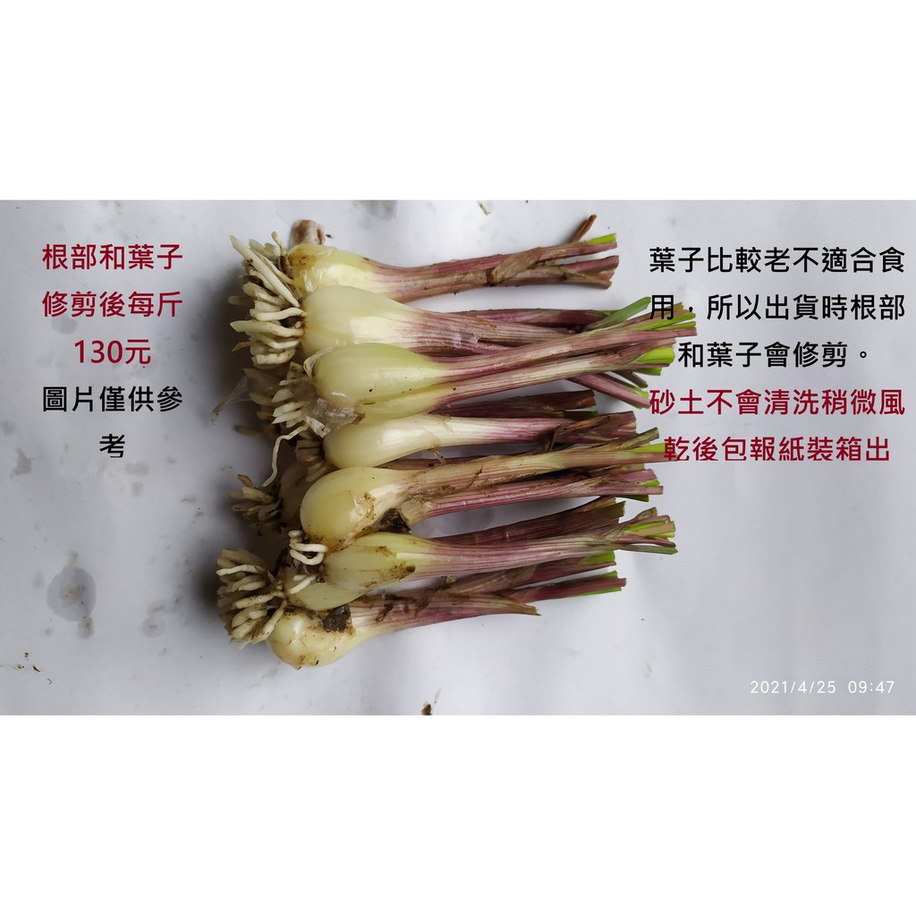 21 05起當天採收當天出貨新鮮露蕎 蕗蕎 食用植物蕗蕎 不分大小顆每斤135元 蝦皮購物