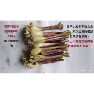 慕花坊蕗蕎 蝦皮購物