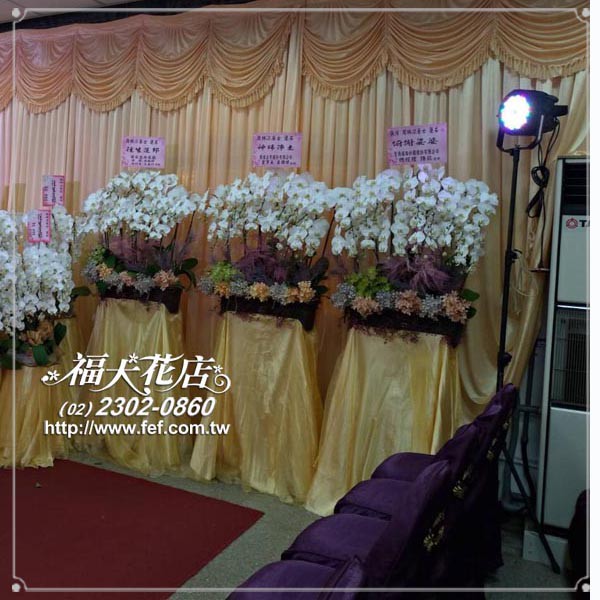 告別式蘭花 優惠推薦 21年9月 蝦皮購物台灣