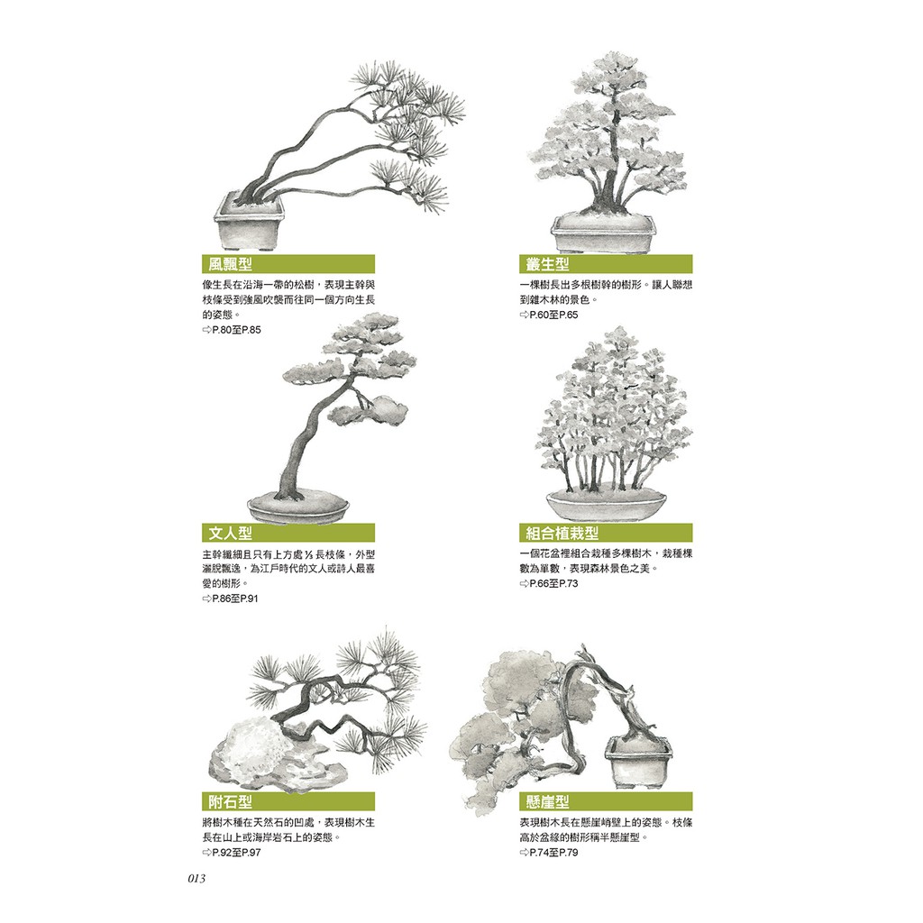 噴泉 樹形盆栽入門書一次學會10種新手也能輕鬆掌握的基礎技法 蝦皮購物