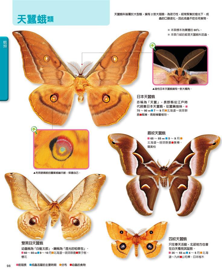 昆蟲百科圖鑑 養老孟司 監修eslite誠品 蝦皮購物