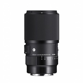 sigma 105mm f2.8 dg dn macro art 微距鏡頭 【宇利攝影器材】 sony e 恆伸公司貨