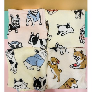 吉娃娃毯的價格推薦 21年8月 比價撿便宜