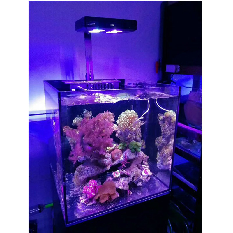下殺冠科gako 52w 海水燈6通道調光日出日落海缸珊瑚缸海水魚缸led燈lps Sps照明水族夾燈 蝦皮購物