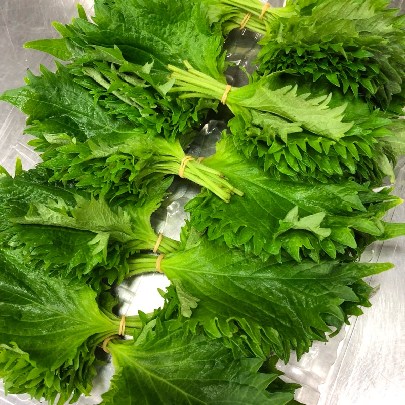 日本紫蘇葉 大葉 盒 100片 大葉只限自取 蝦皮購物