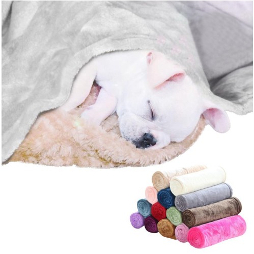 社会主義者髄横向き犬絨毯 Club Powell Jp