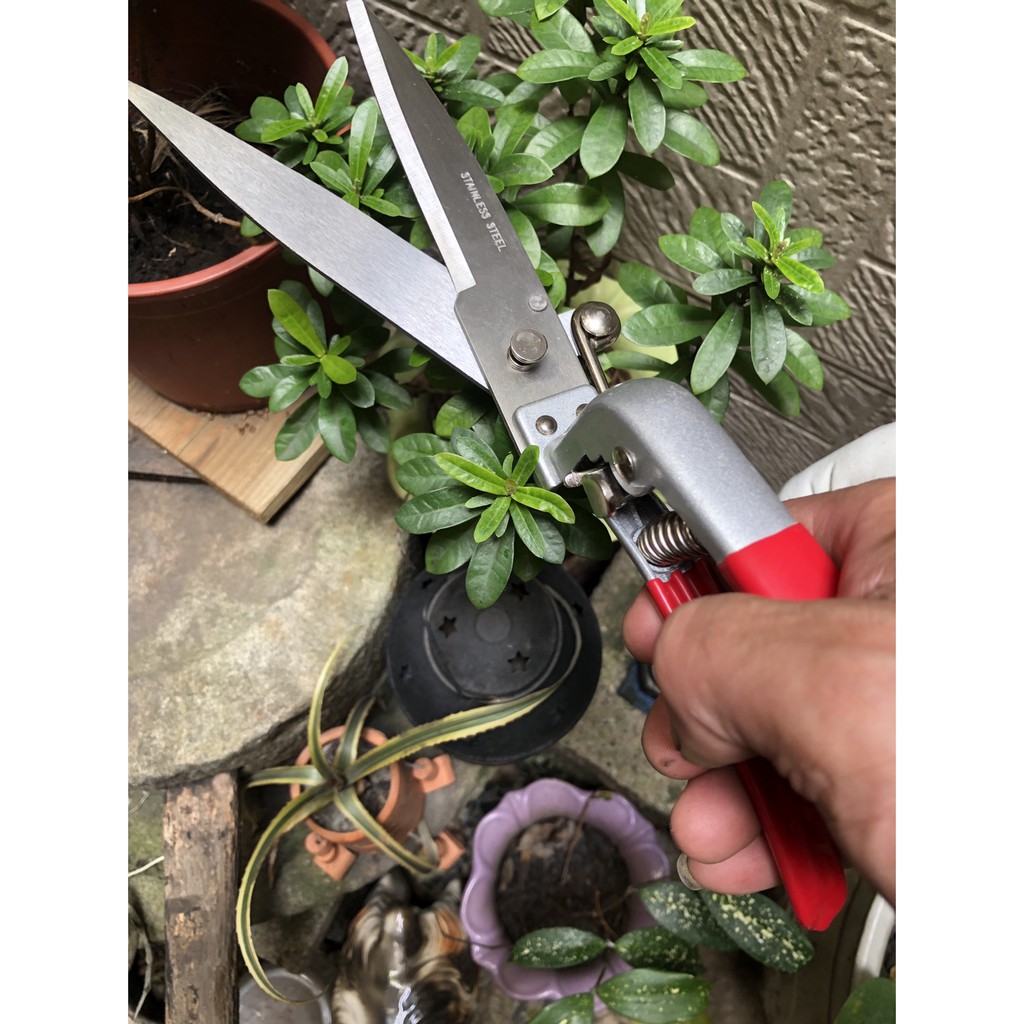 Winland溫蘭不鏽鋼實用款草剪草皮剪草皮鋏芝生鋏芝生剪草皮剪刀 西滿鐵店舖 特選 蝦皮購物