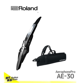 【現代樂器】24期0利率免運！Roland AE-30 Aerophone Pro 電吹管 電管 AE30
