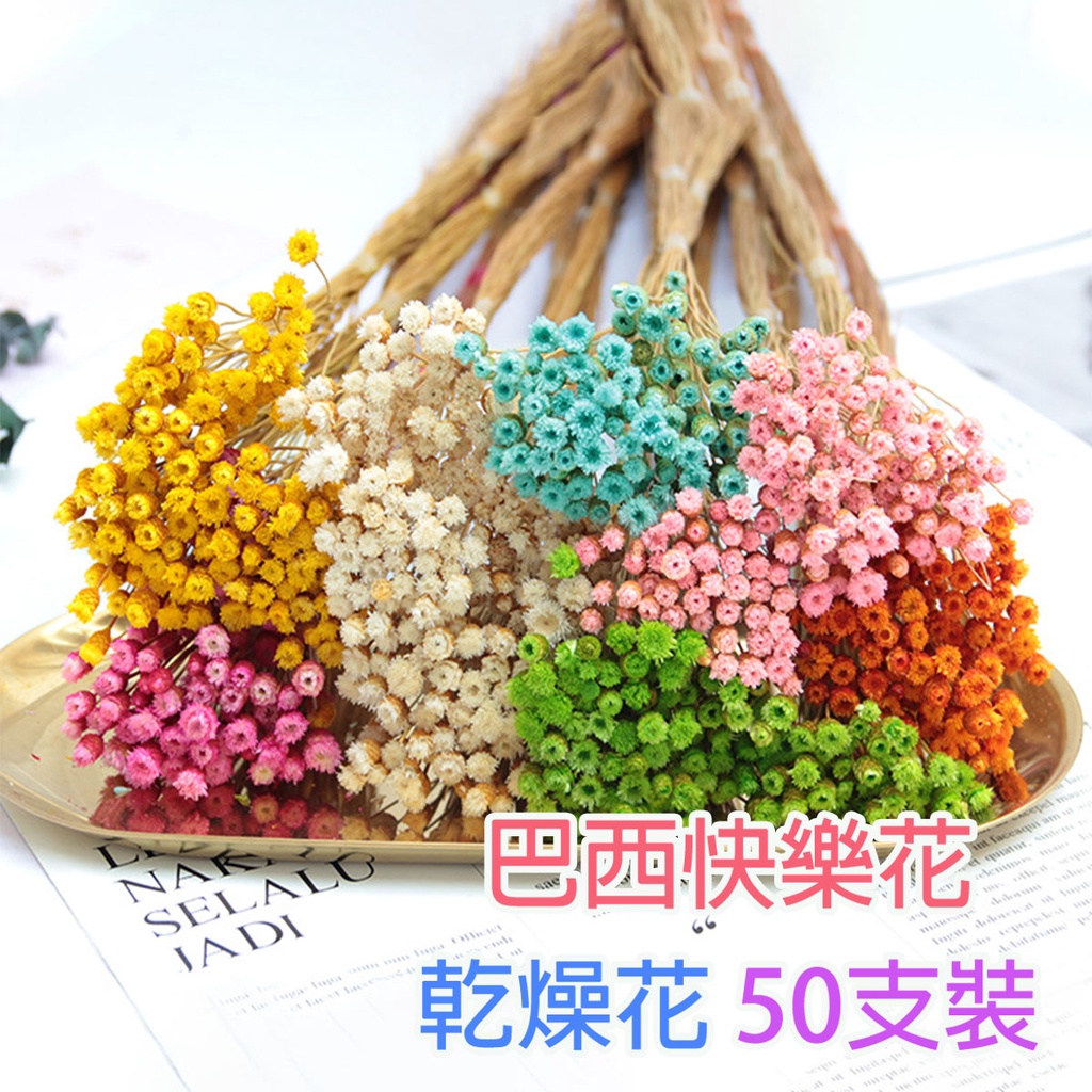 【台灣現貨】巴西快樂花 巴西小菊 繁星花 乾燥花 小菊花束 DIY手作花材 星星花 仿真花 新娘捧花 乾燥花束 拍攝道具